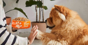 RELEASE: Dogfy Diet leads in canine nutrition with revolutionary natural solutions