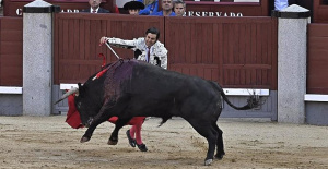 The Community will provide facilities and support to the Bullfighting Prize with the help of the Toro de Lidia Foundation